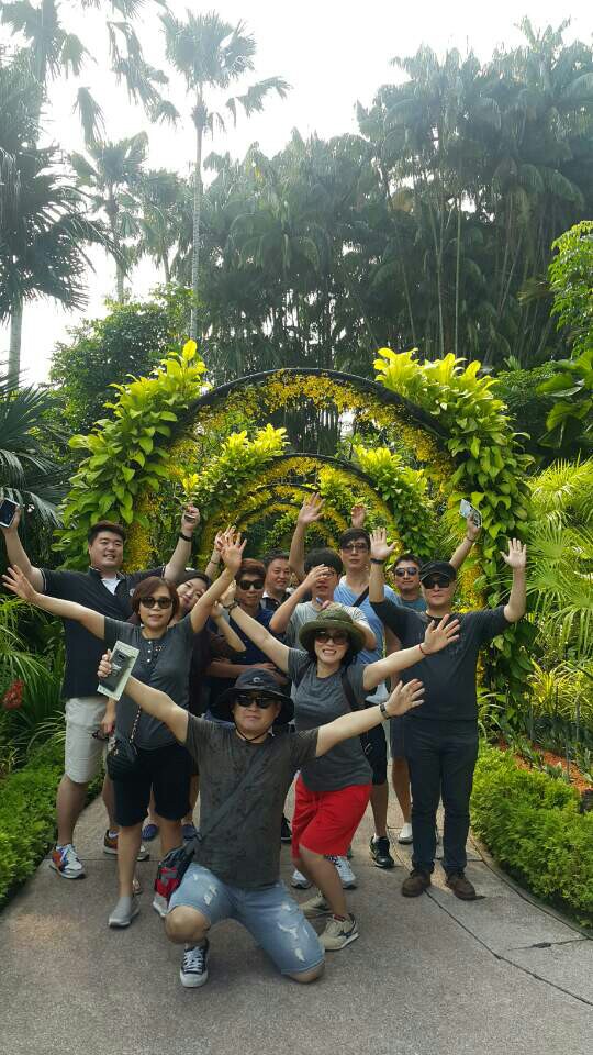 2812adc9042c6ded16c653651aac0ef3_1494815