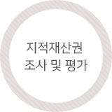 지적재산권 조사 및 평가